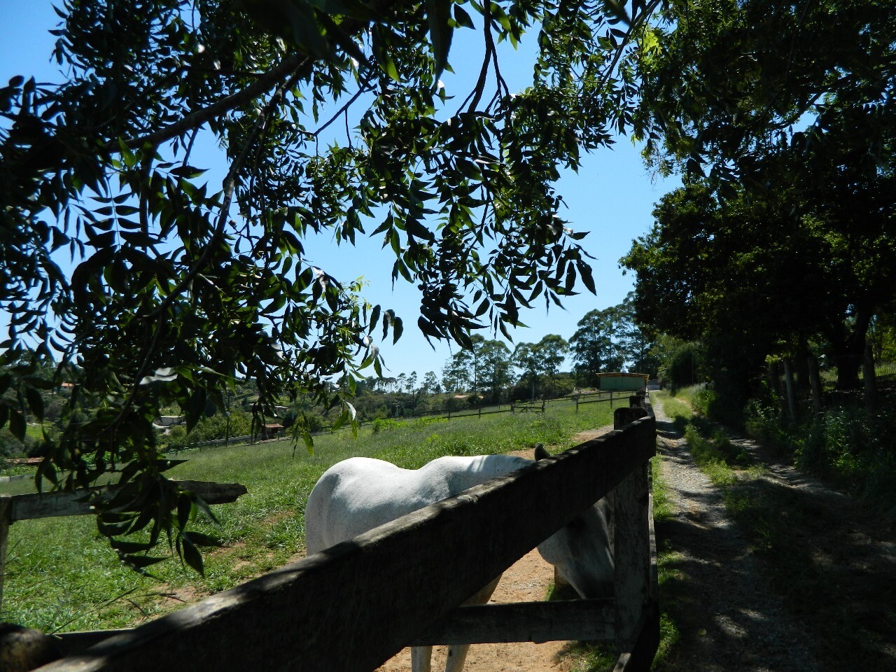 HARAS EM IBIÚNA COM 30.000 M2