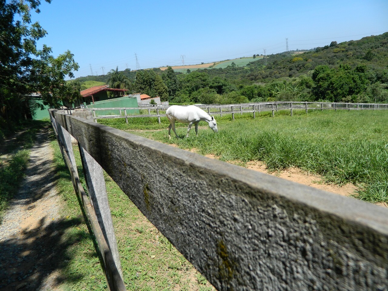 HARAS EM IBIÚNA COM 30.000 M2