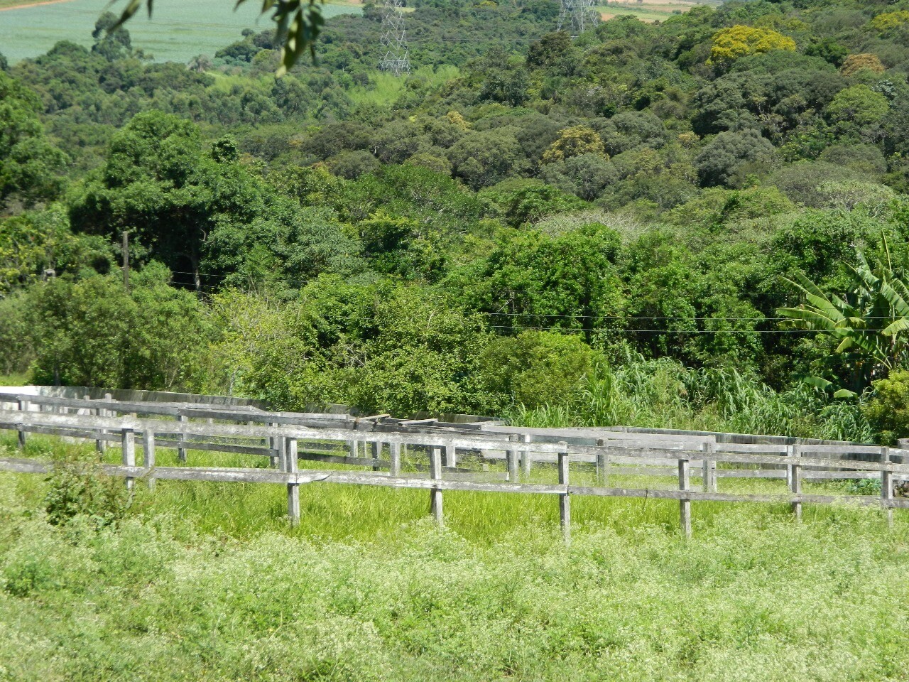 HARAS EM IBIÚNA COM 30.000 M2