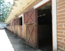 HARAS EM IBIÚNA COM 30.000 M2