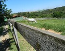 HARAS EM IBIÚNA COM 30.000 M2