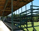 HARAS EM IBIÚNA COM 30.000 M2